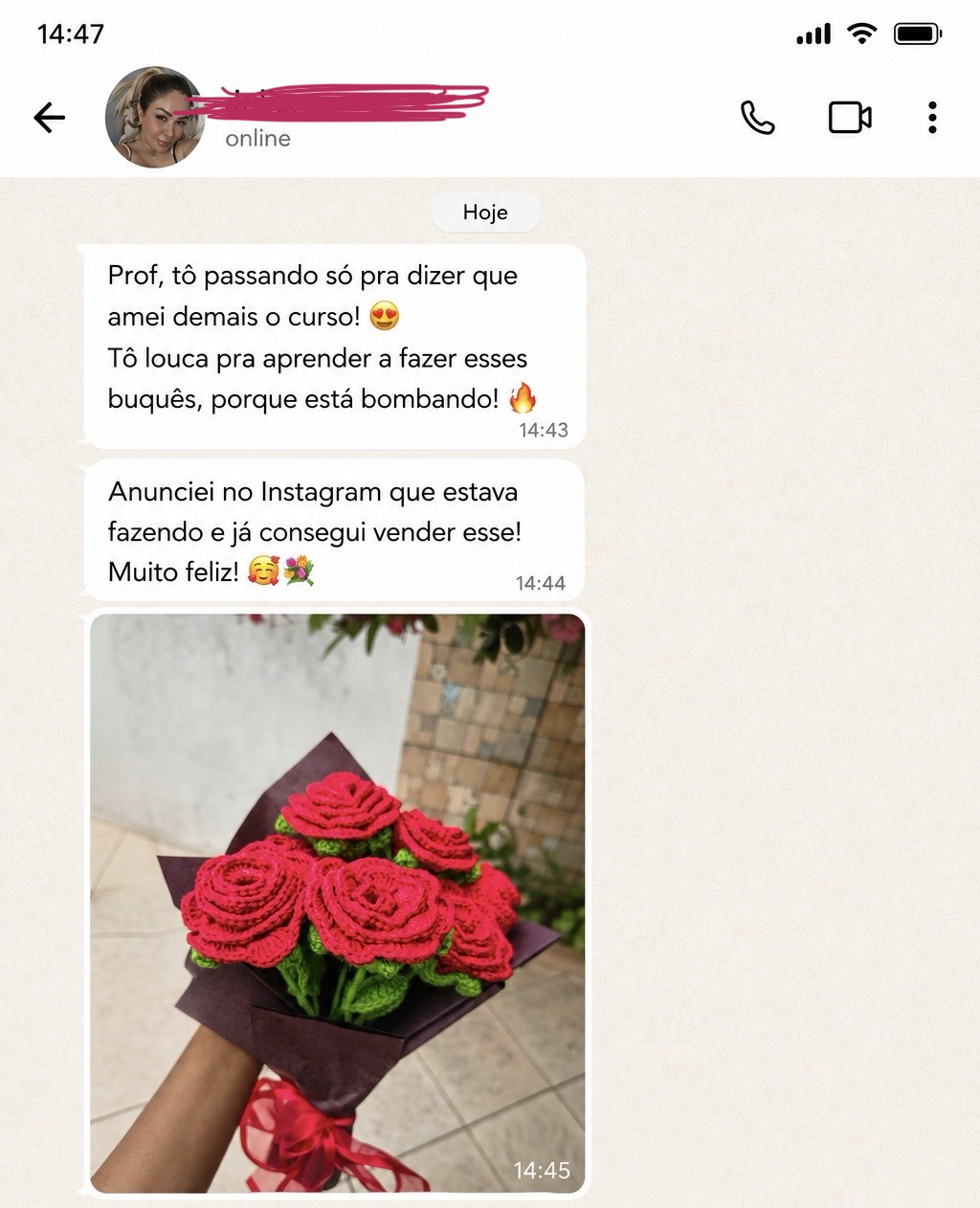 Depoimento de aluna no WhatsApp