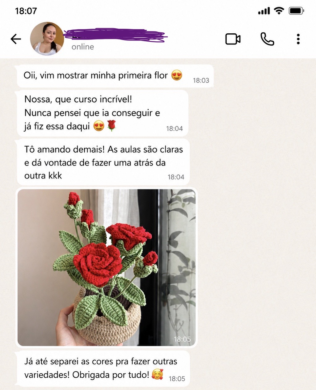 Depoimento de aluna no WhatsApp