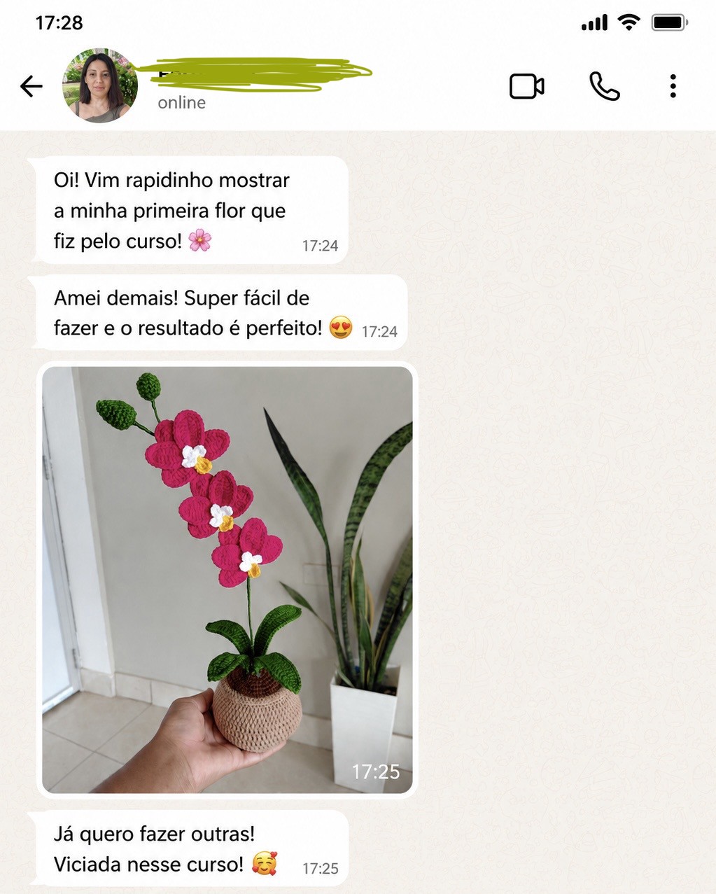 Depoimento de aluna no WhatsApp