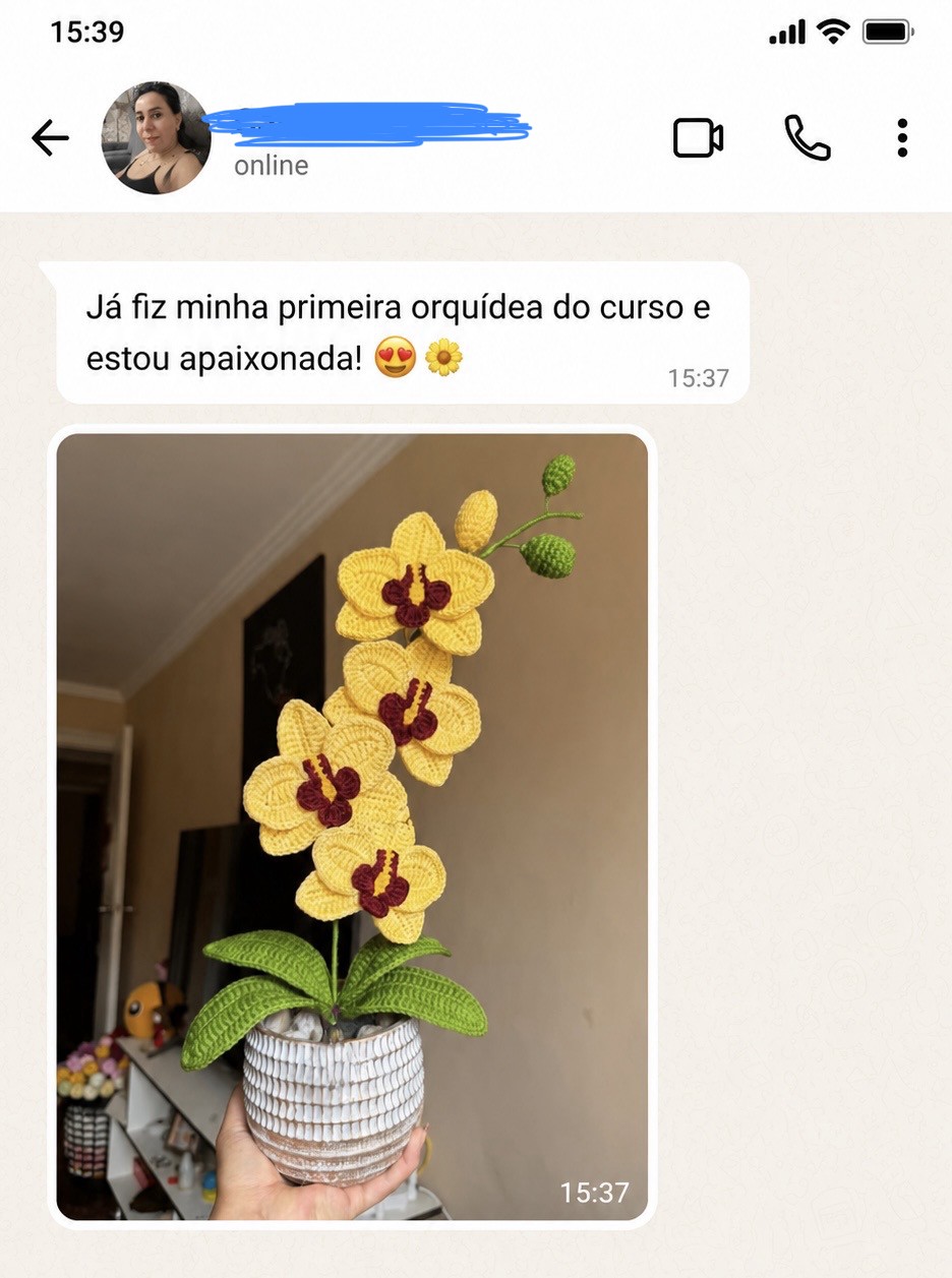 Depoimento de aluna no WhatsApp